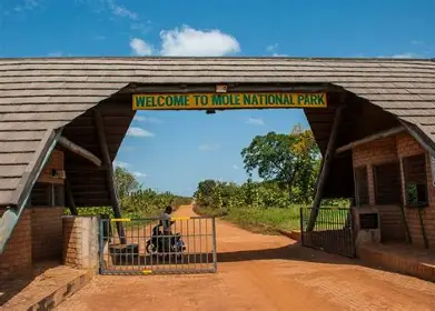 Mole National Park in Savannah Region